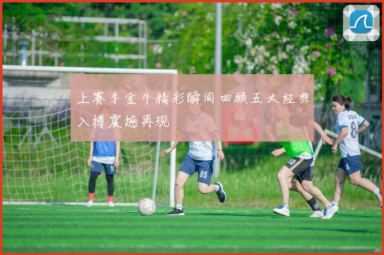 上赛季金牛精彩瞬间回顾五大经典入樽震撼再现